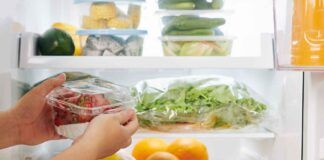 Insalata in frigo sai come si conserva? Con lattuga e i pomodori facciamo tutti questo errore e si rovinano subito - RicettaSprint