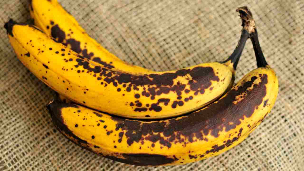 ¿Por qué se forman manchas negras en los plátanos?  ¿Son mejores para comer que los amarillos?