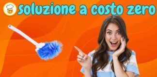 Non cambiare lo scopino del wc, ti do la soluzione a costo zero e tornerà come nuovo