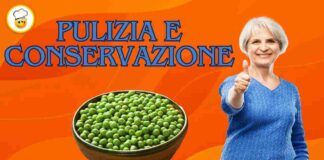 Piselli freschi tutto l'anno, i consigli di mia nonna dalla pulizia alla conservazione