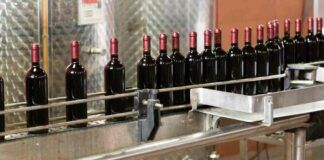 Produzione vino in forte crisi in tutto il mondo per colpa del cambiamento climatico