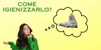 Pulizia e igienizzazione del mocio è importante con questo trucco lo farai in 10 minuti