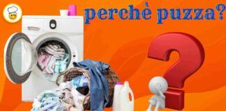 Ti sei mai chiesta perché il bucato puzza dopo il lavaggio Ecco la risposta