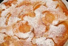 Strepitosa merenda con le prime albicocche di stagione, torta leggerissima senza nemmeno le uova - RicettaSprint