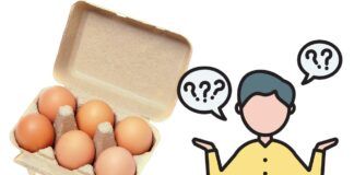 Quante uova mangiare a settimana? La misura consigliata