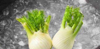 Come possiamo riutilizzare l'acqua di cottura dei finocchi