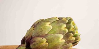 Come congelare i carciofi così da averli freschi tutto l'anno