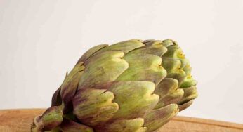 Come congelare i carciofi così da averli freschi tutto l’anno?