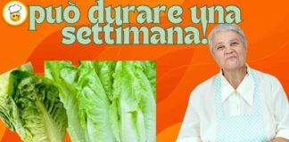 Come far durare la lattuga per una settimana Il trucco della nonna è geniale
