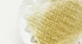 A cosa serve la colla di pesce e come usarla correttamente