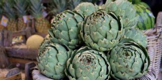 Carciofi anche fuori stagione, con il rimedio di mia nonna li manterrai freschi anche per tutto l'anno - RicettaSprint