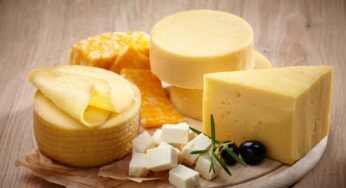 Formaggio durante la dieta, quali sono quelli che ci fanno dimagrire più velocemente?