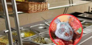 Fragole ammuffite alla mensa scolastica in provincia di Cremona