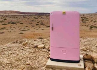 L'idea del frigorifero rosa nel deserto, che cosa ci fa lì