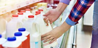 Aviaria nel latte, le linee guida dell'OMS per evitare rischi: quali bere