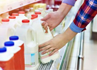 Aviaria nel latte, le linee guida dell'OMS per evitare rischi: quali bere