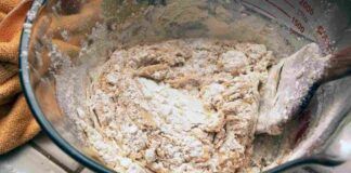 L'impasto integrale per preparare tantissimi dolci Ricettasprint