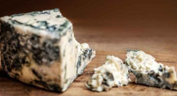 Muffa sul formaggio dopo averla rimossa il peggio non passa, ecco cosa rischi ogni volta