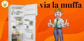 Muffa nel frigo Da oggi in poi non sarà più un problema, ecco come sbarazzartene