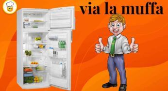 Muffa nel frigo? Da oggi in poi non sarà più un problema, ecco come sbarazzartene