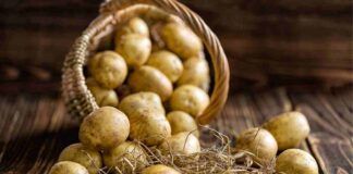 Come conservare le patate senza che germoglino, il metodo infallibile
