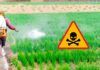 Pesticidi sempre e comunque nocivi, lo conferma uno studio