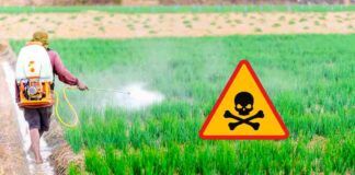 Pesticidi sempre e comunque nocivi, lo conferma uno studio