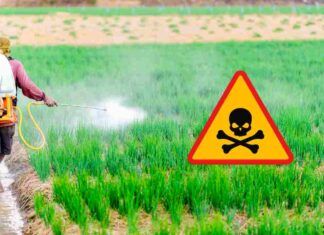 Pesticidi sempre e comunque nocivi, lo conferma uno studio