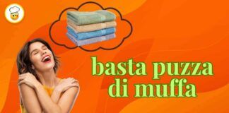Puoi dire addio alla puzza di muffa su asciugamani e lenzuola, ecco la soluzione efficace e a costo zero