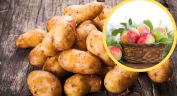 Il trucco della mela per conservare le patate: addio sprechi e anche fastidiosi germogli!