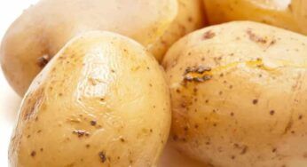 Preparo un’insalata di patate favolosa: non ci metto il tonno questa volta, ma la faccio più gourmet