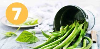7 Ricette da preparare con i fagiolini in pochi minuti, non solo contorni! Ricettasprint