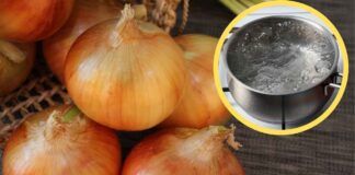 Acqua di cottura delle cipolle, bevila tutta di un fiato, quello che fa al tuo corpo è pazzesco - RicettaSprint