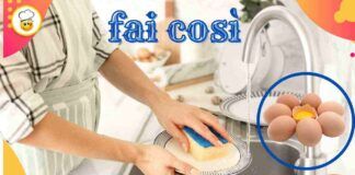 Bye bye puzza di uova dalle stoviglie non serve aceto e sgrassatore, la soluzione ecologica a costo zero