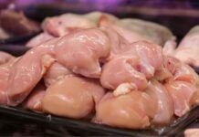 Carne di pollo allert: se trovi questi segni non mangiarlo, corri un grave rischio, non rischiare - RicettaSprint