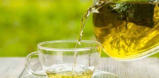 Infuso e decotto non sono affatto la stessa cosa, se sbagli finisce che devi buttare via tutto - RicettaSprint