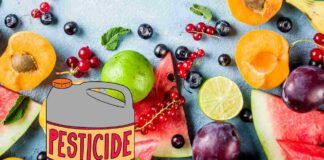La frutta estiva è soggetta a contaminazione da pesticidi, quali sono i tipi più a rischio