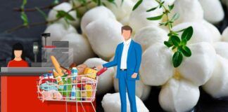 Quali sono le mozzarelle migliori da comprare quando fai la spesa