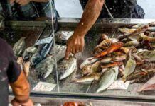 Pesce fresco oppure no? Ecco come riconoscerlo e non farsi fregare - RicettaSprint