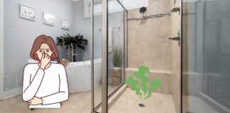 Puzza che proviene dalla doccia Nessuno problema ecco la soluzione a costo 0