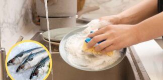 Puzza di pesce dalle stoviglie, con questo rimedio infallibile vai sul sicuro - RicettaSprint
