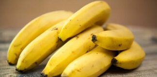 Se vuoi delle banane sempre fresche ecco come le devi conservare correttamente Ricettasprint