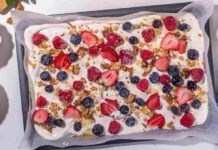 Torta fredda allo yogurt senza farina, uova e zucchero: con meno di 150 kcal