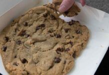 Avevo così tanta voglia di biscotti che ne ho fatto uno gigante… dalle manie di grandezza a un dolce da 10 e lode - RicettaSprint