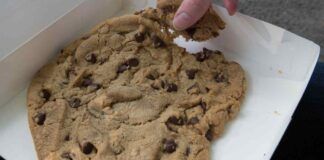 Avevo così tanta voglia di biscotti che ne ho fatto uno gigante… dalle manie di grandezza a un dolce da 10 e lode - RicettaSprint