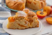 Torta zero sbatti con le albicocche che avevo in frigorifero: la mangi a colazione e la giornata ti sorride