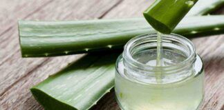 Aloe vera da bere durante la dieta, non commettere questo errore - RicettaSprint