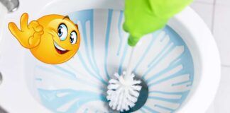 Il water puzza di urina Risolvi così e in 5 minuti e sentirai solo un bel profumo