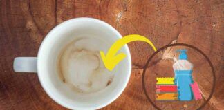 Macchie ostinate nelle tazze di caffè Tutto quello che devi fare e il risultato sarà più che soddisfacente