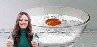 Monetina nel freezer a cosa serve